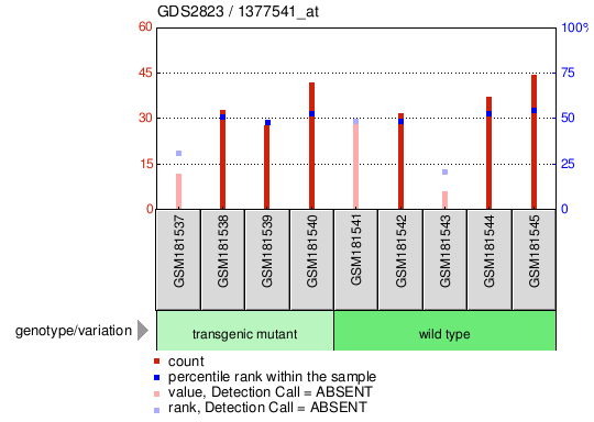 Gene Expression Profile