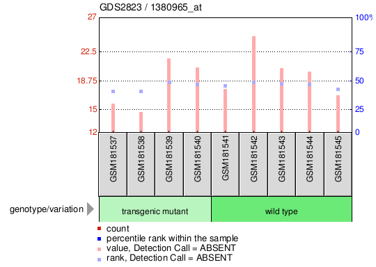 Gene Expression Profile