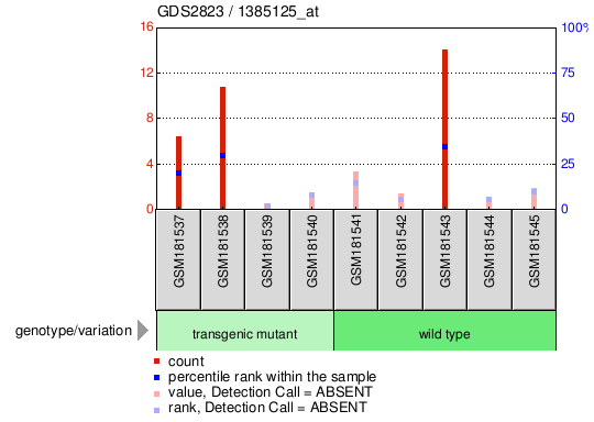 Gene Expression Profile