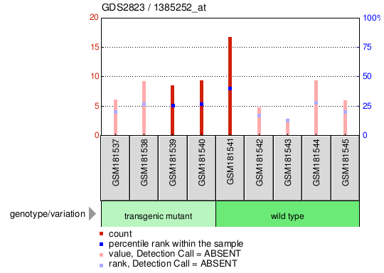 Gene Expression Profile