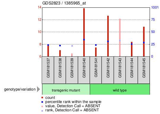 Gene Expression Profile