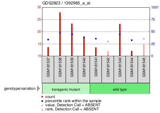 Gene Expression Profile