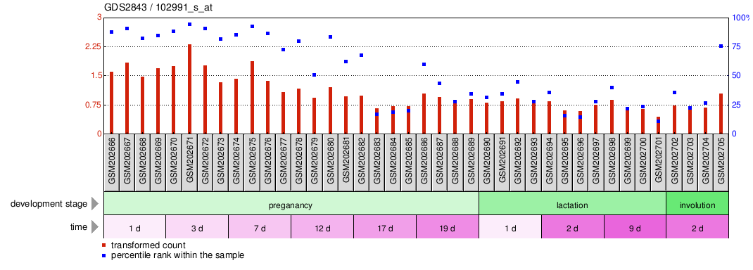 Gene Expression Profile