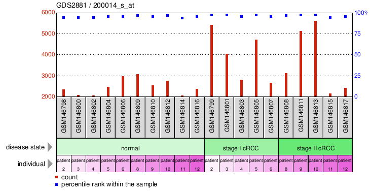 Gene Expression Profile