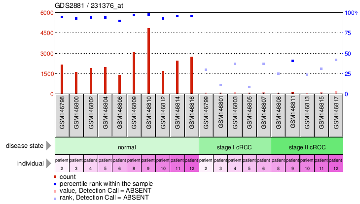 Gene Expression Profile