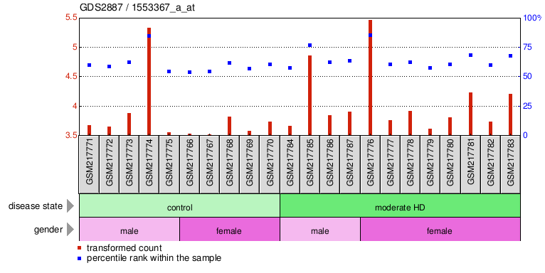 Gene Expression Profile