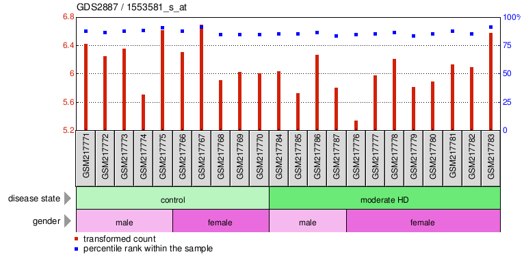 Gene Expression Profile