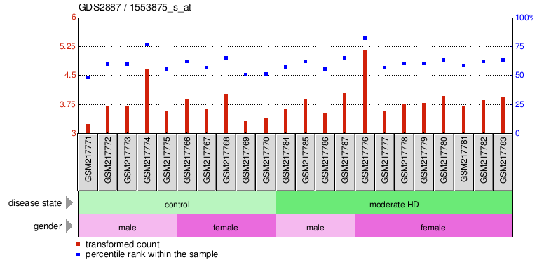 Gene Expression Profile