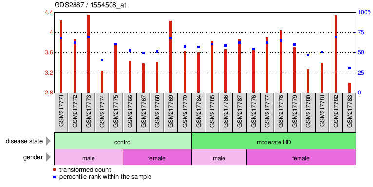 Gene Expression Profile