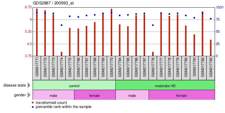 Gene Expression Profile