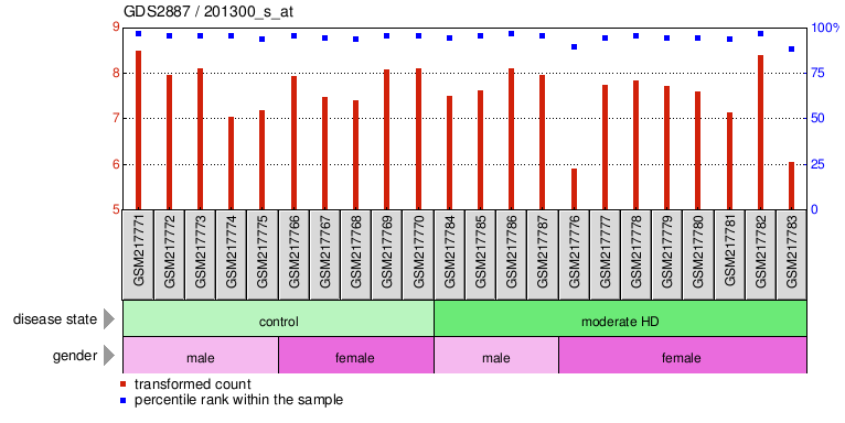 Gene Expression Profile