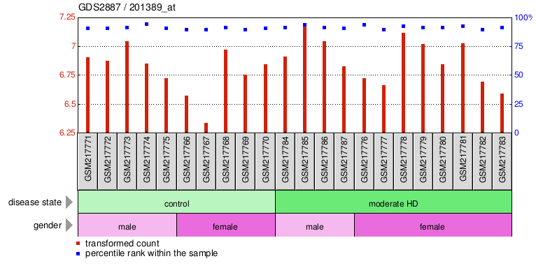 Gene Expression Profile