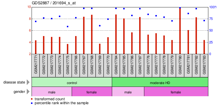 Gene Expression Profile