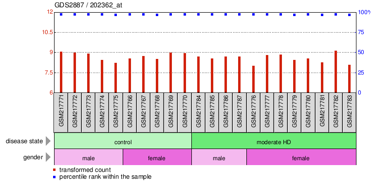 Gene Expression Profile