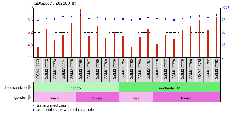 Gene Expression Profile