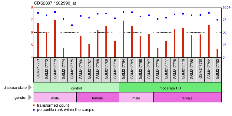 Gene Expression Profile