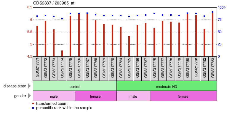 Gene Expression Profile