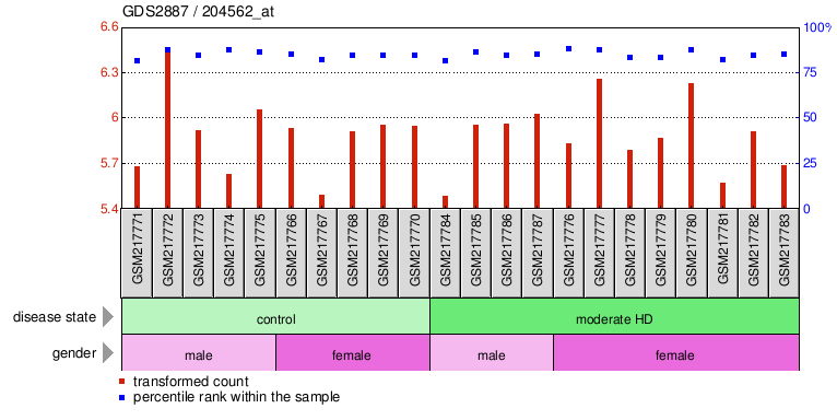 Gene Expression Profile