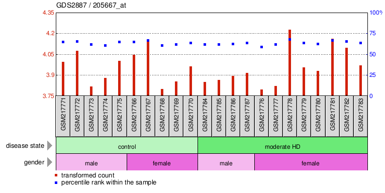 Gene Expression Profile