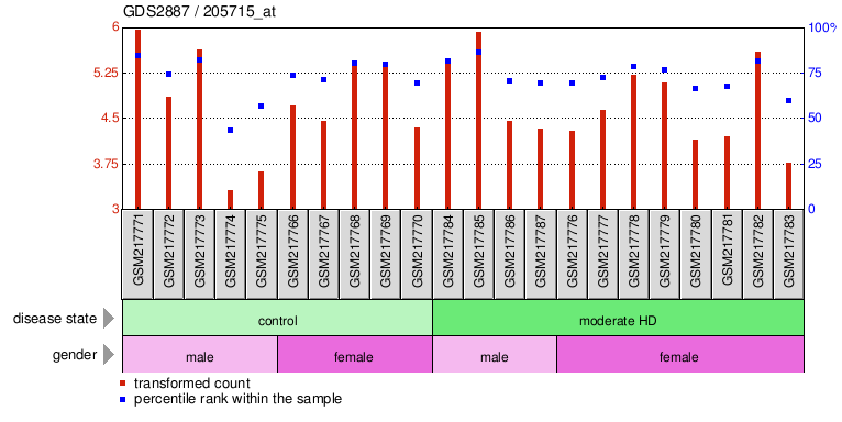 Gene Expression Profile