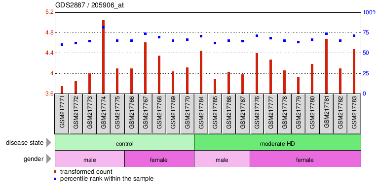 Gene Expression Profile