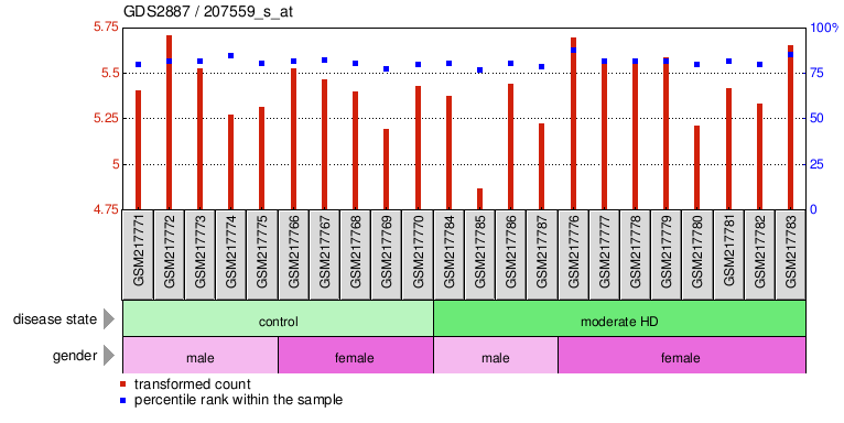 Gene Expression Profile