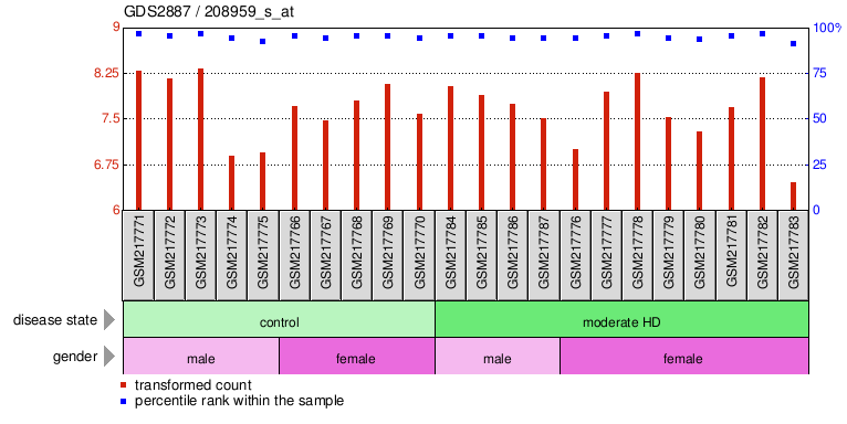 Gene Expression Profile