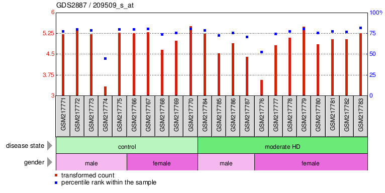 Gene Expression Profile