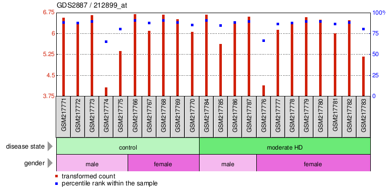 Gene Expression Profile