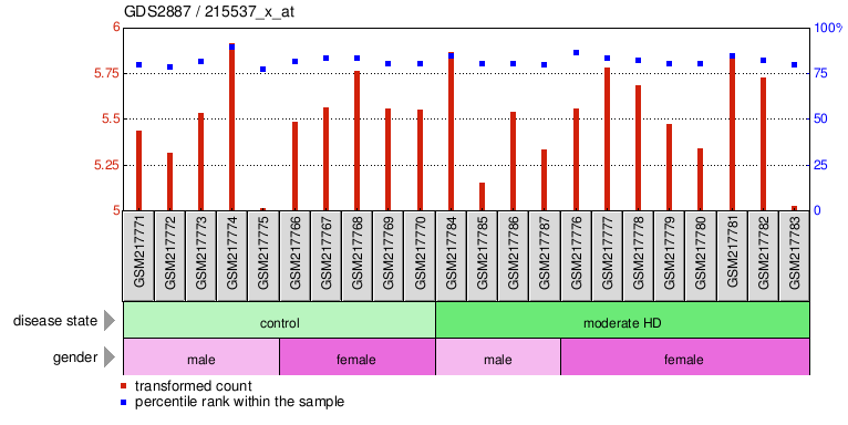 Gene Expression Profile