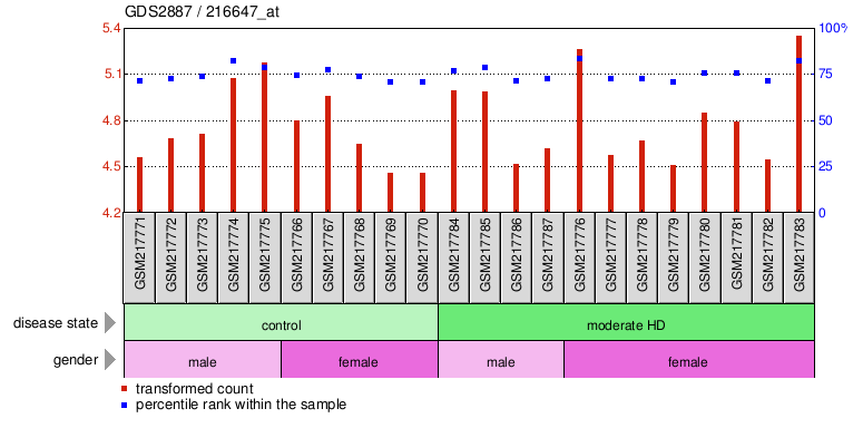 Gene Expression Profile