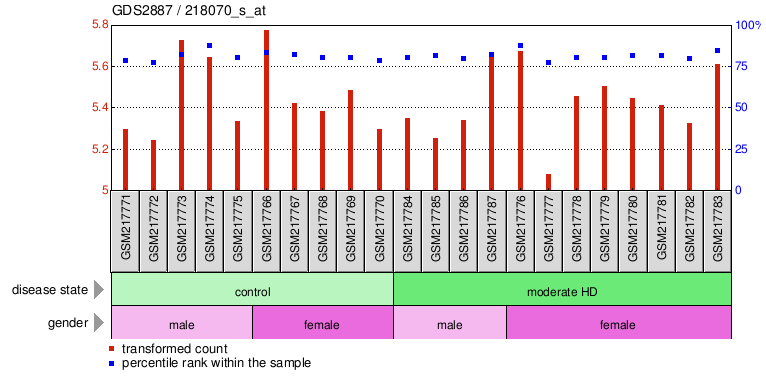 Gene Expression Profile