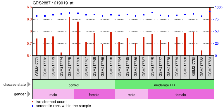 Gene Expression Profile