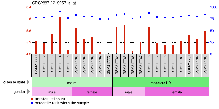 Gene Expression Profile