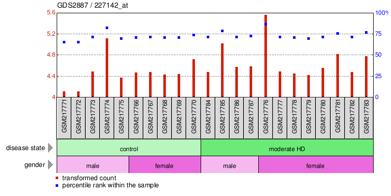 Gene Expression Profile