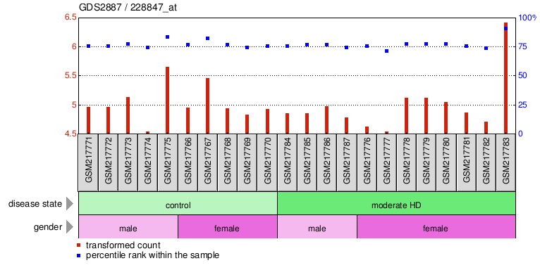 Gene Expression Profile