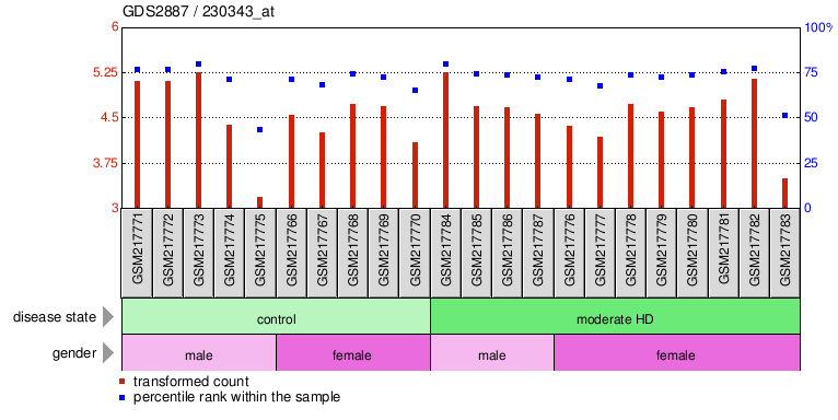 Gene Expression Profile