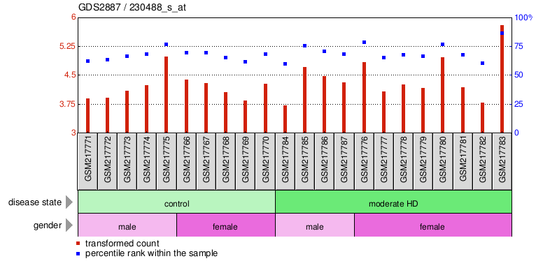 Gene Expression Profile