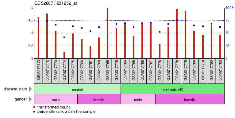 Gene Expression Profile