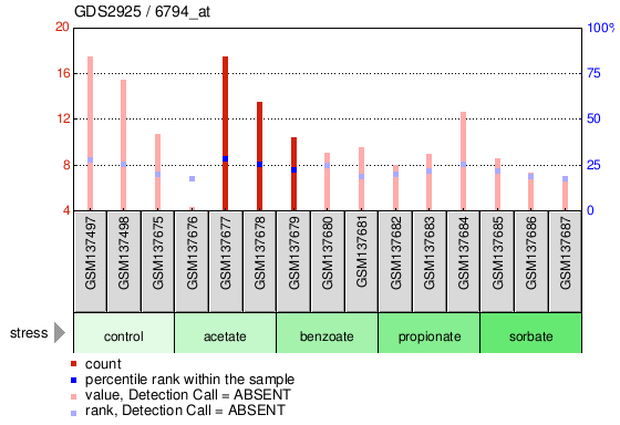 Gene Expression Profile