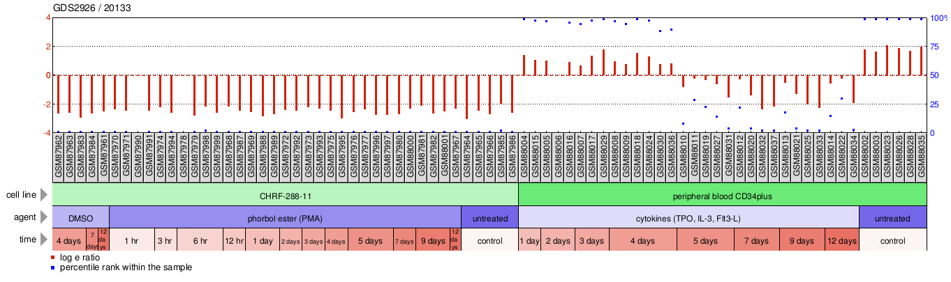 Gene Expression Profile