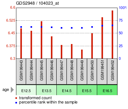 Gene Expression Profile