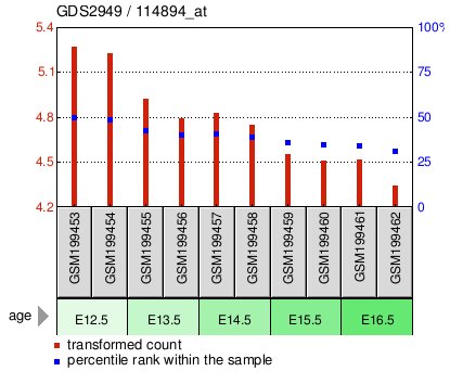 Gene Expression Profile