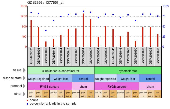 Gene Expression Profile