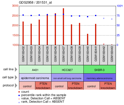 Gene Expression Profile