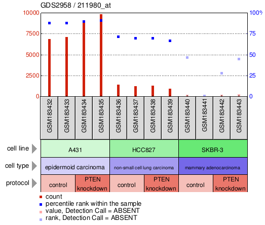 Gene Expression Profile