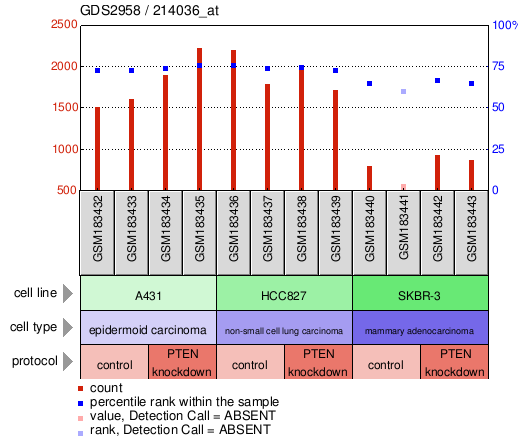 Gene Expression Profile