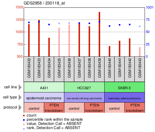 Gene Expression Profile