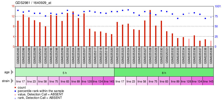 Gene Expression Profile