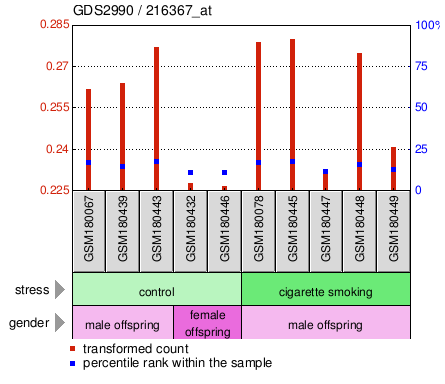 Gene Expression Profile